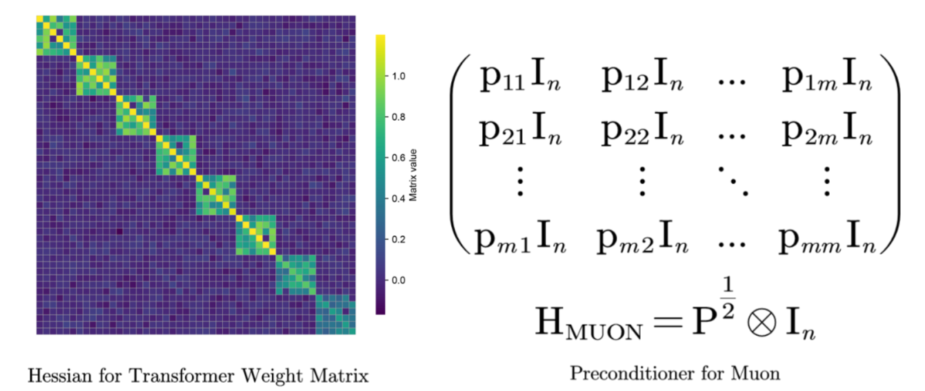 Comparison between Muon's preconditioner and the Hessian structure.